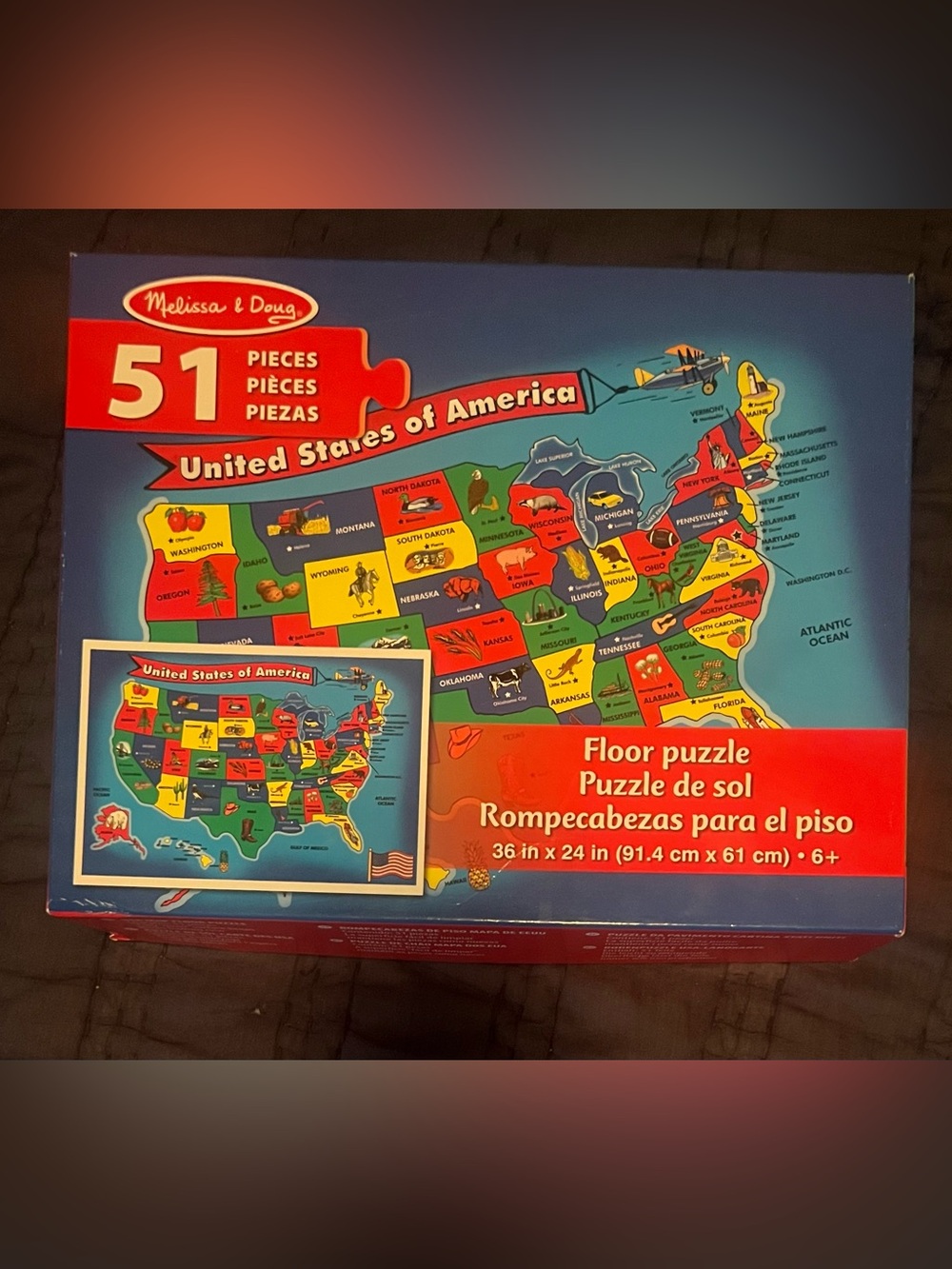 USA Map Floor Puzzle